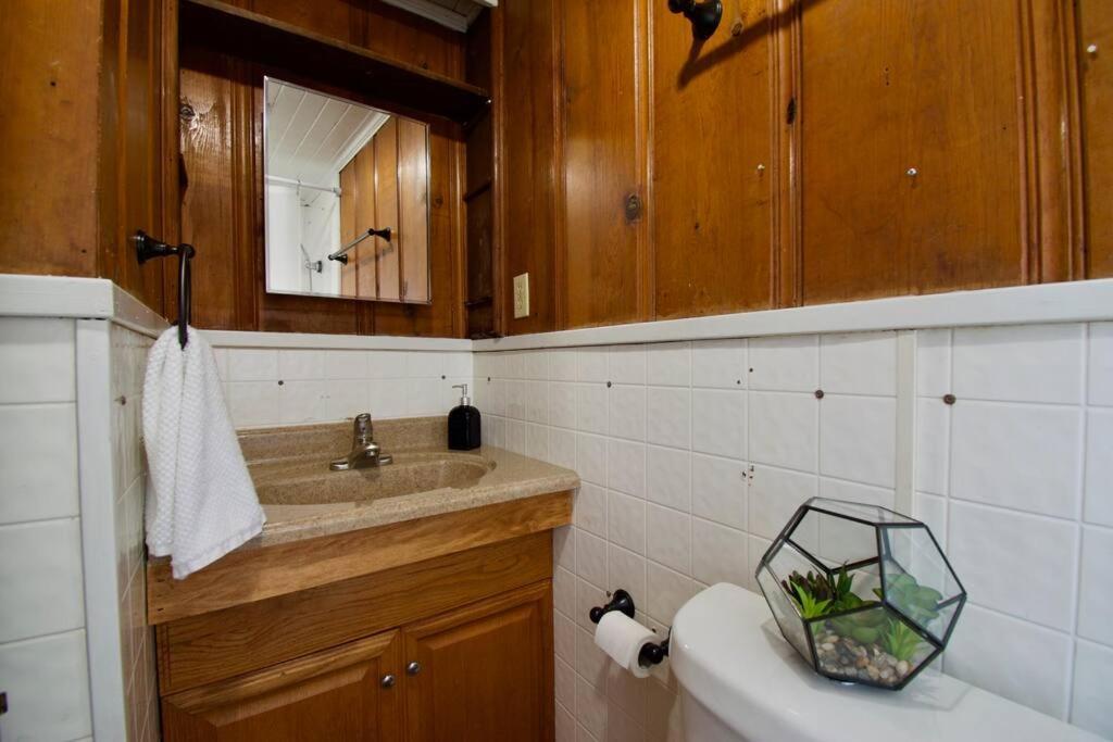 Cajun Stays - Studio Garfield - Pet Friendly Lafayette Zewnętrze zdjęcie